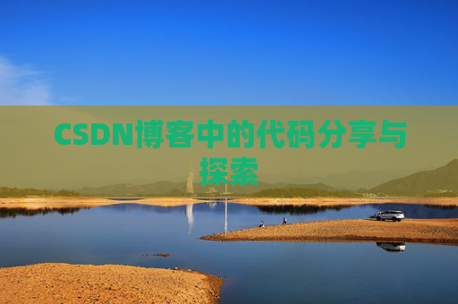 CSDN博客中的代码分享与探索